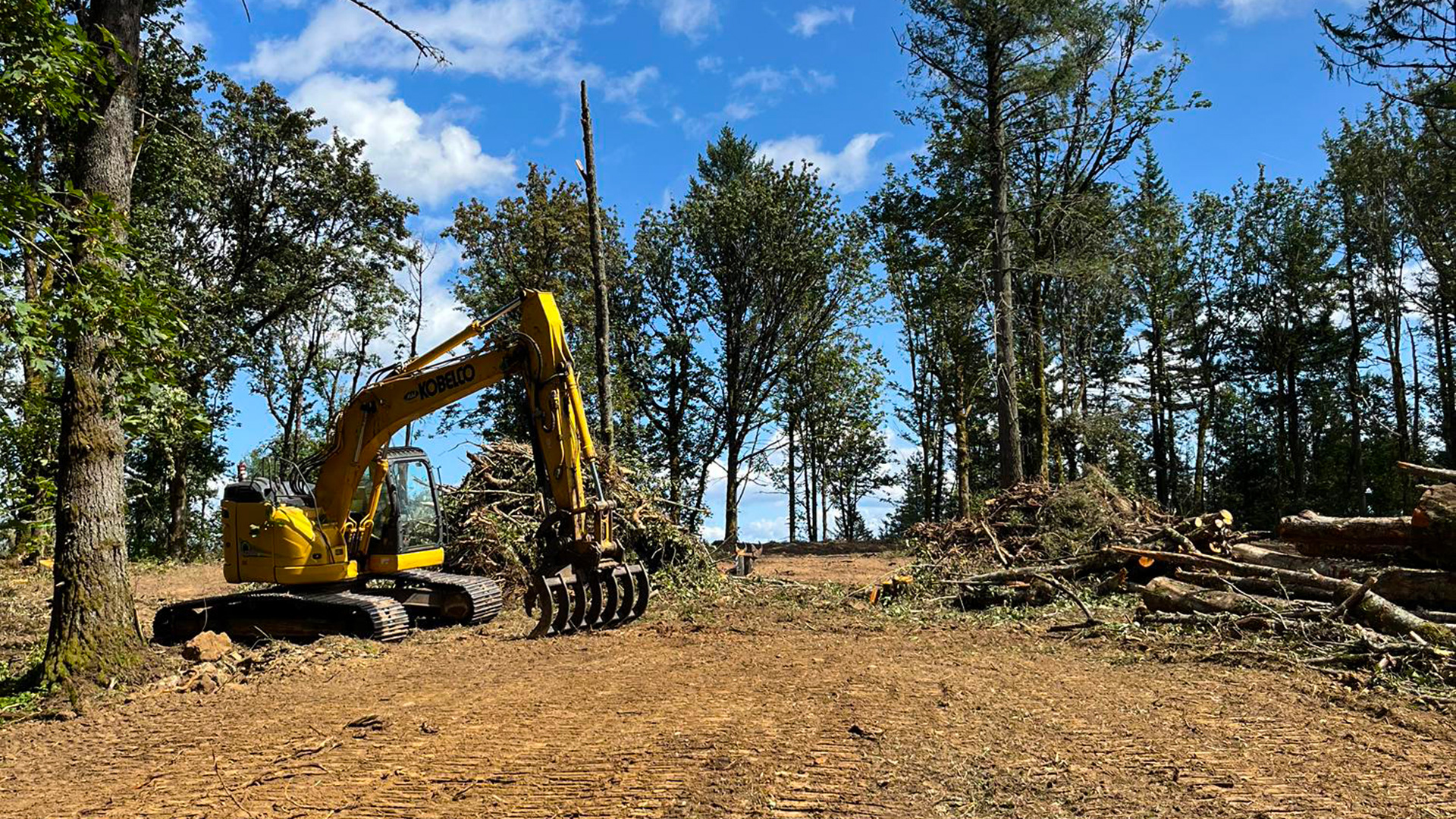 Evergreen Lodge - Slide 2