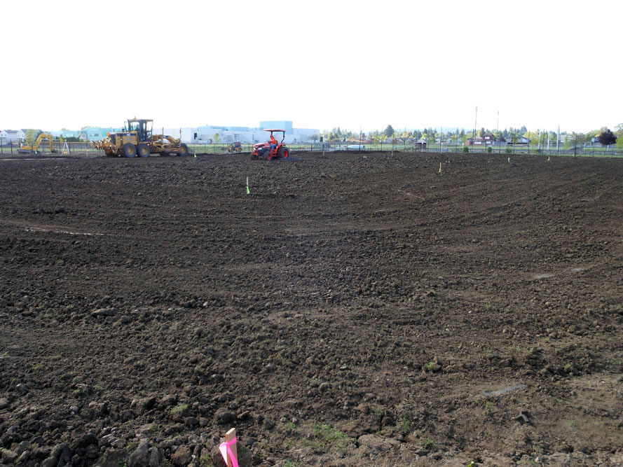 Forest Grove High School - Excavation detail