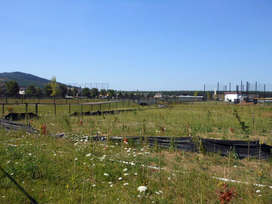 Forest Grove High School - Construction area