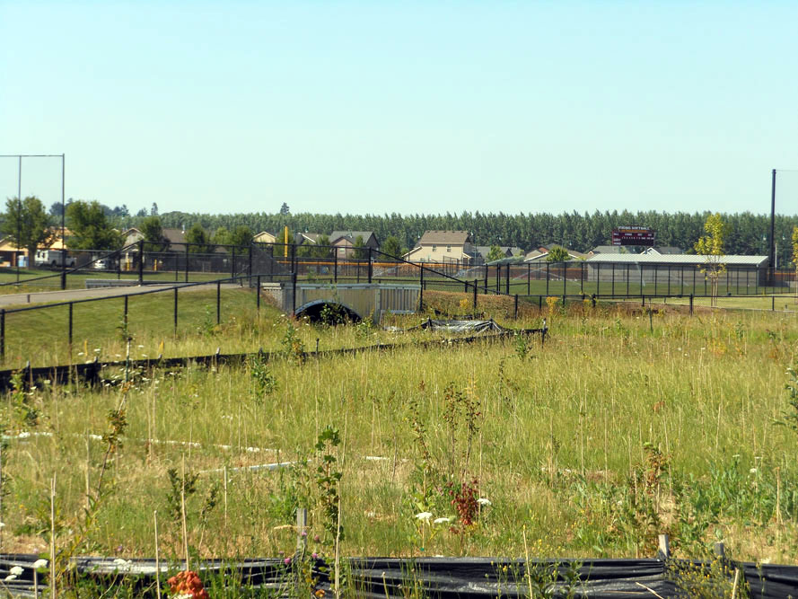 Forest Grove High School - Site work detail