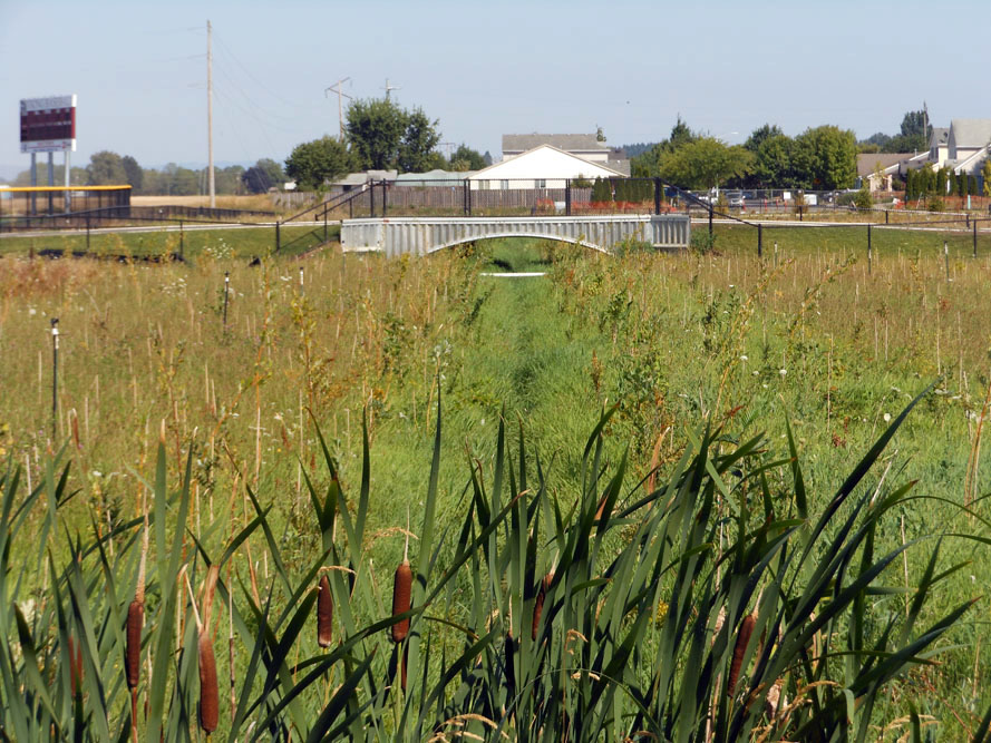 Forest Grove High School - Final view